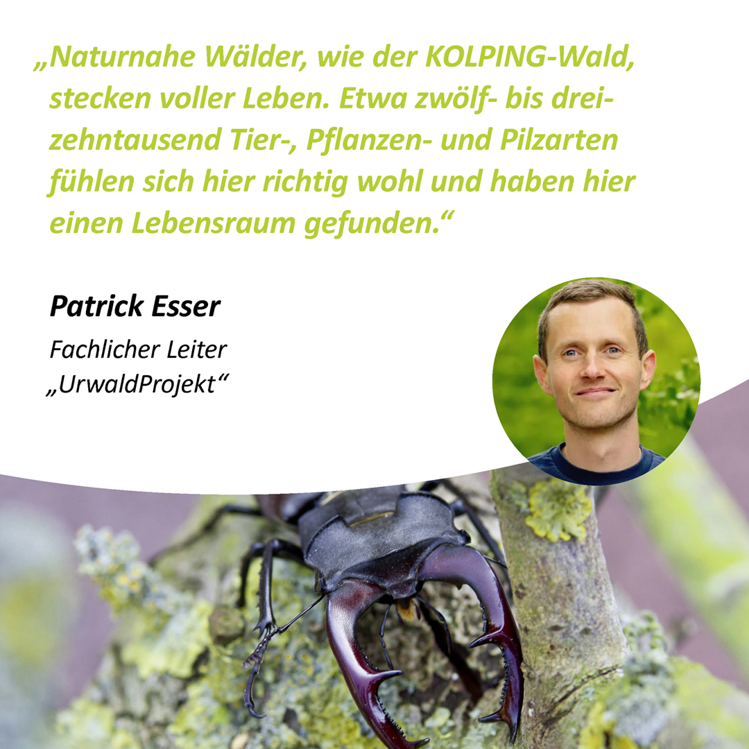 KOL-24-009_Sharepics_Fundraising_KOLPING-Wald_2024_1080x1080px_LY1_Seite_08